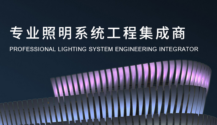 厦门市大光照明工程有限公司